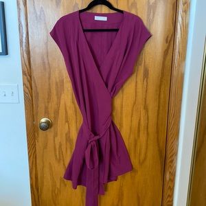 Everlane Raspberry Wrap Dress